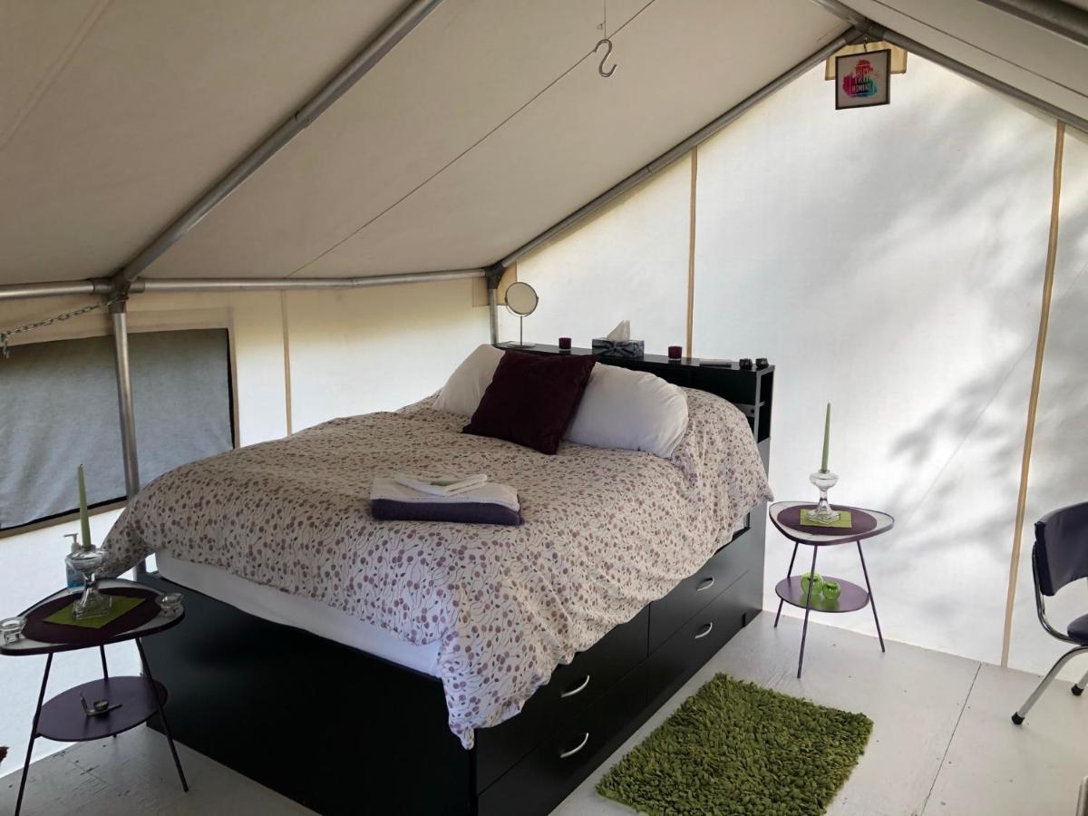 Hotel Vines&Puppies Glamping Hideaway Jade City Exterior foto